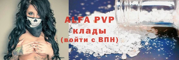 прущие крисы Надым